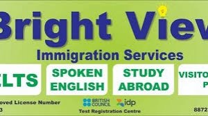 BRIGHT VIEW IMMIGRATION SERVICES